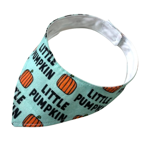 Little Pumpkin - blue