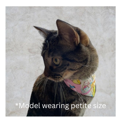 Cardboard box PETITE