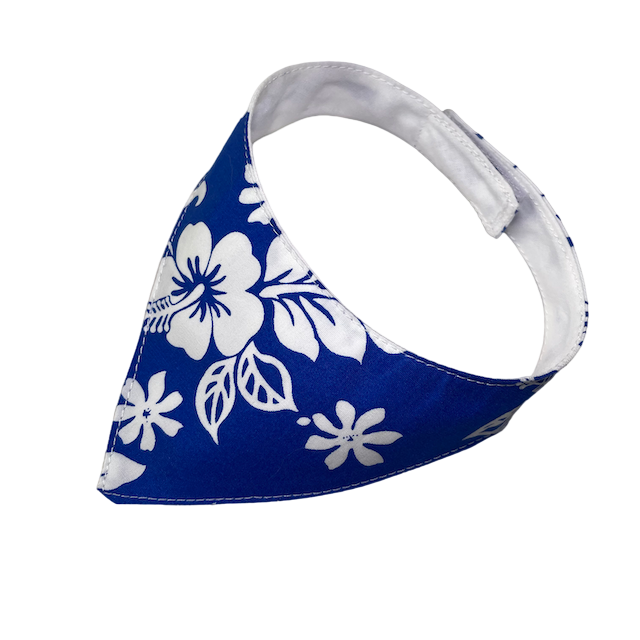 Hibiscus (royal blue)