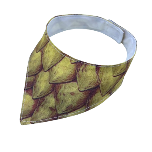 Dragon Scales MEDIUM